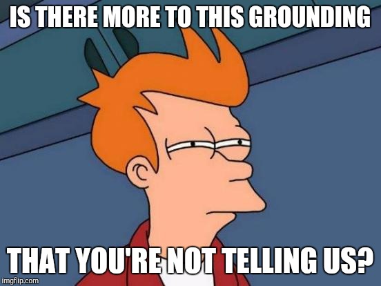 Futurama Fry Meme | IS THERE MORE TO THIS GROUNDING THAT YOU'RE NOT TELLING US? | image tagged in memes,futurama fry | made w/ Imgflip meme maker