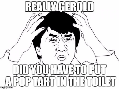 Jackie Chan WTF | REALLY GEROLD; DID YOU HAVE TO PUT A POP TART IN THE TOILET | image tagged in memes,jackie chan wtf | made w/ Imgflip meme maker