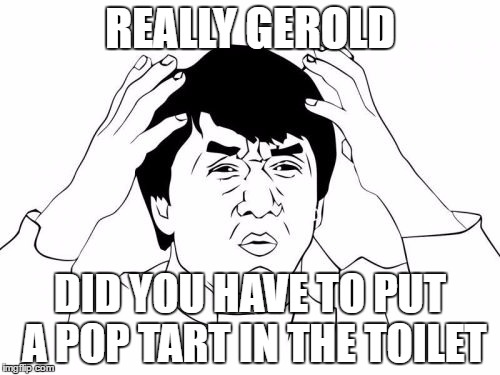 Jackie Chan WTF Meme | REALLY GEROLD; DID YOU HAVE TO PUT A POP TART IN THE TOILET | image tagged in memes,jackie chan wtf | made w/ Imgflip meme maker