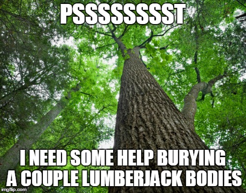 PSSSSSSSST I NEED SOME HELP BURYING A COUPLE LUMBERJACK BODIES | made w/ Imgflip meme maker