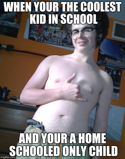 WHEN YOUR THE COOLEST KID IN SCHOOL; AND YOUR A HOME SCHOOLED ONLY CHILD | image tagged in memes | made w/ Imgflip meme maker
