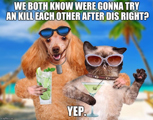 Cat and Dog Sipping Cocktails | WE BOTH KNOW WERE GONNA TRY AN KILL EACH OTHER AFTER DIS RIGHT? YEP. | image tagged in cat and dog sipping cocktails | made w/ Imgflip meme maker