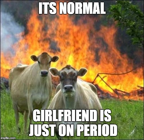 Evil Cows | ITS NORMAL; GIRLFRIEND IS JUST ON PERIOD | image tagged in memes,evil cows | made w/ Imgflip meme maker