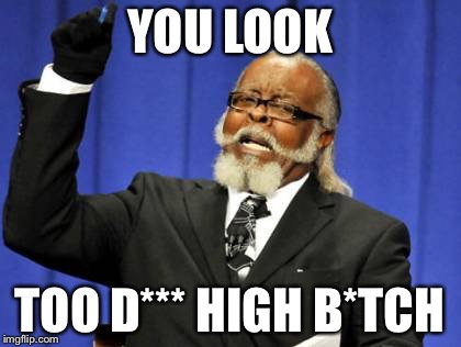 Too Damn High Meme | YOU LOOK TOO D*** HIGH B*TCH | image tagged in memes,too damn high | made w/ Imgflip meme maker