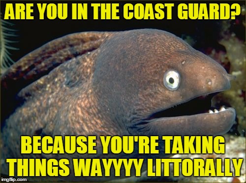 ARE YOU IN THE COAST GUARD? BECAUSE YOU'RE TAKING THINGS WAYYYY LITTORALLY | made w/ Imgflip meme maker