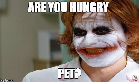 ARE YOU HUNGRY PET? | made w/ Imgflip meme maker