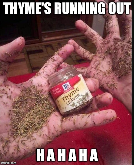 Thyme | THYME'S RUNNING OUT; H A H A H A | image tagged in thyme | made w/ Imgflip meme maker