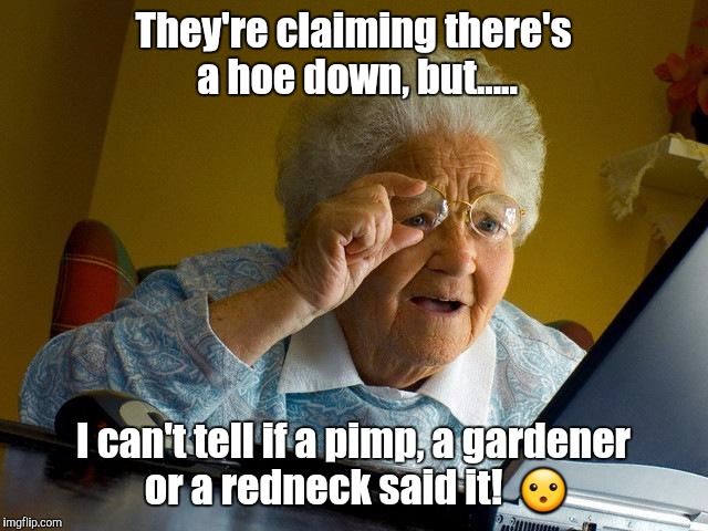 Grandma Finds The Internet Meme | They're claiming there's a hoe down, but..... I can't tell if a pimp, a gardener or a redneck said it!  😮 | image tagged in memes,grandma finds the internet | made w/ Imgflip meme maker