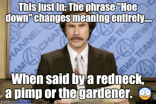 Ron Burgundy Meme | This just in: The phrase "Hoe down" changes meaning entirely.... When said by a redneck, a pimp or the gardener.  😨 | image tagged in memes,ron burgundy | made w/ Imgflip meme maker