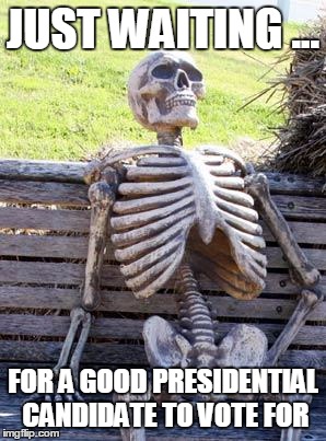 Waiting Skeleton | JUST WAITING ... FOR A GOOD PRESIDENTIAL CANDIDATE TO VOTE FOR | image tagged in memes,waiting skeleton | made w/ Imgflip meme maker