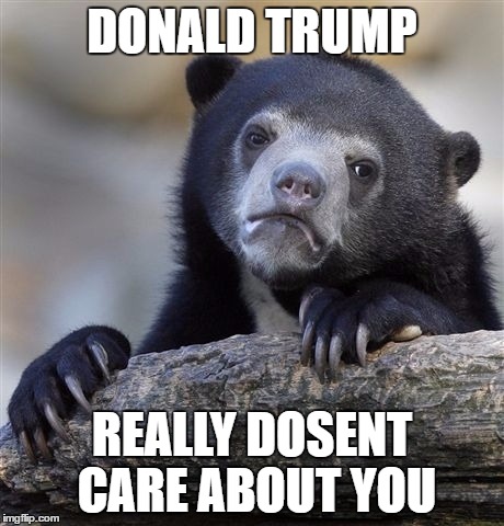 Confession Bear | DONALD TRUMP; REALLY DOSENT CARE ABOUT YOU | image tagged in memes,confession bear | made w/ Imgflip meme maker