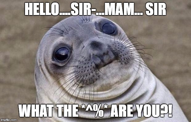 Awkward Moment Sealion | HELLO....SIR-...MAM... SIR; WHAT THE *^%* ARE YOU?! | image tagged in memes,awkward moment sealion | made w/ Imgflip meme maker