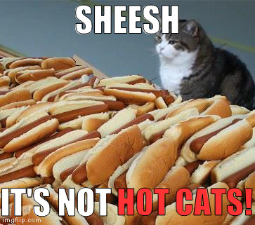 only the best meme from the factory | SHEESH; IT'S NOT; HOT CATS! | image tagged in too many hot dogs,memes | made w/ Imgflip meme maker
