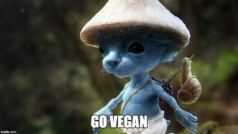 Smurf Dude | GO VEGAN | image tagged in smurf dude | made w/ Imgflip meme maker
