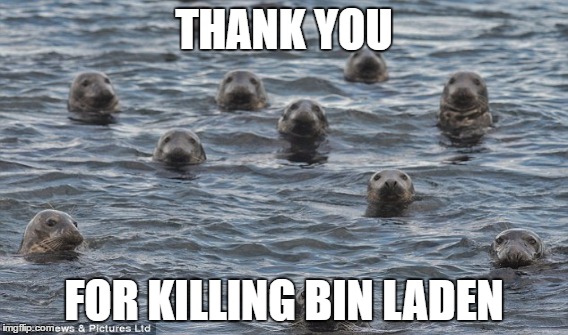 God bless them | THANK YOU; FOR KILLING BIN LADEN | image tagged in navy seals | made w/ Imgflip meme maker