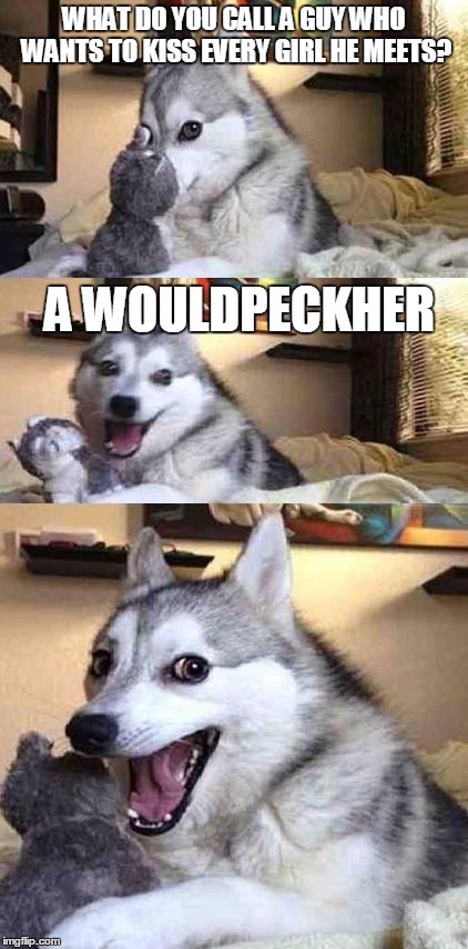 Dog Joke | WHAT DO YOU CALL A GUY WHO WANTS TO KISS EVERY GIRL HE MEETS? A WOULDPECKHER | image tagged in dog joke | made w/ Imgflip meme maker