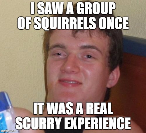Wordplay and Educational |  I SAW A GROUP OF SQUIRRELS ONCE; IT WAS A REAL SCURRY EXPERIENCE | image tagged in memes,10 guy | made w/ Imgflip meme maker