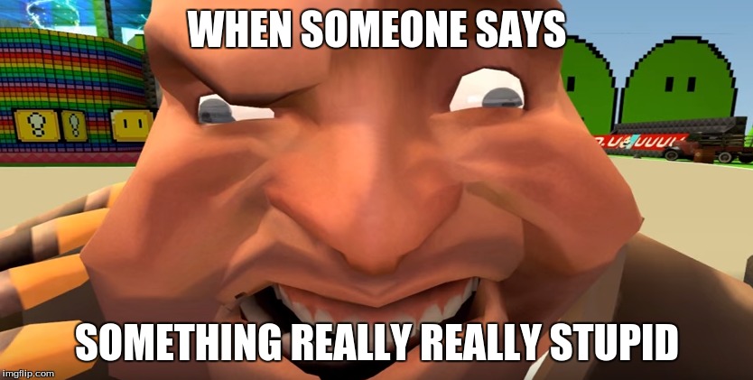  WHEN SOMEONE SAYS; SOMETHING REALLY REALLY STUPID | image tagged in tf2 | made w/ Imgflip meme maker