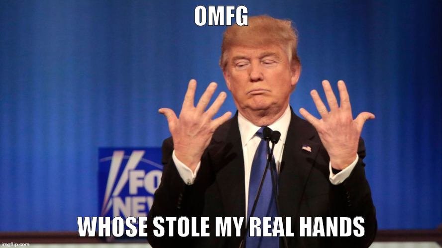 trumpster | OMFG; WHOSE STOLE MY REAL HANDS | image tagged in trump 2016 | made w/ Imgflip meme maker