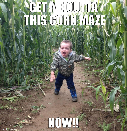 Corn Maze Kid | GET ME OUTTA THIS CORN MAZE; NOW!! | image tagged in corn maze kid | made w/ Imgflip meme maker