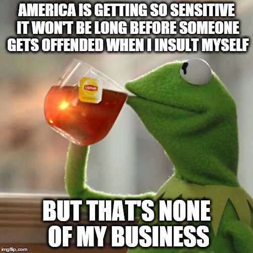 But That's None Of My Business | AMERICA IS GETTING SO SENSITIVE IT WON'T BE LONG BEFORE SOMEONE GETS OFFENDED WHEN I INSULT MYSELF; BUT THAT'S NONE OF MY BUSINESS | image tagged in memes,but thats none of my business,kermit the frog | made w/ Imgflip meme maker
