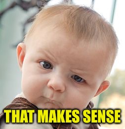 Skeptical Baby Meme | THAT MAKES SENSE | image tagged in memes,skeptical baby | made w/ Imgflip meme maker