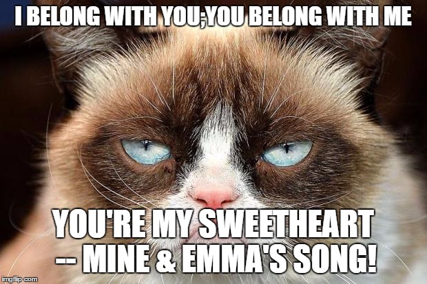 Grumpy Cat Not Amused Meme - Imgflip