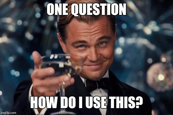 Leonardo Dicaprio Cheers Meme | ONE QUESTION HOW DO I USE THIS? | image tagged in memes,leonardo dicaprio cheers | made w/ Imgflip meme maker