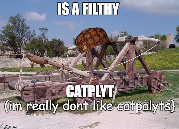 xDDDDDDDDD | (im really dont like catpalyts} | image tagged in lolz | made w/ Imgflip meme maker
