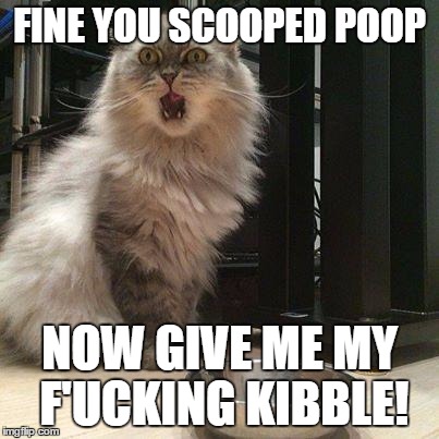 empty food bowl | FINE YOU SCOOPED POOP; NOW GIVE ME MY F'UCKING KIBBLE! | image tagged in empty food bowl | made w/ Imgflip meme maker
