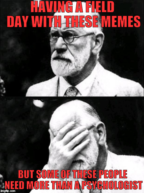 Freud | HAVING A FIELD DAY WITH THESE MEMES; BUT SOME OF THESE PEOPLE NEED MORE THAN A PSYCHOLOGIST | image tagged in freud | made w/ Imgflip meme maker