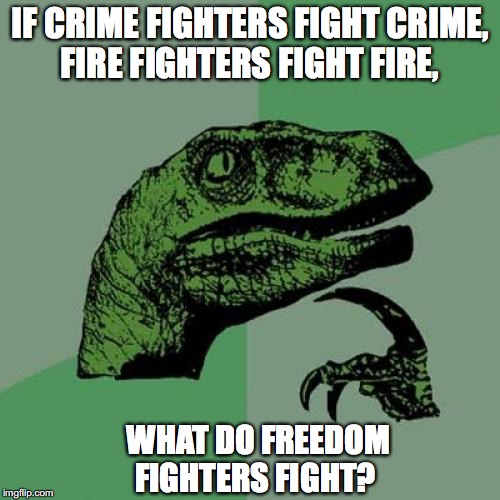 Philosoraptor | IF CRIME FIGHTERS FIGHT CRIME, FIRE FIGHTERS FIGHT FIRE, WHAT DO FREEDOM FIGHTERS FIGHT? | image tagged in memes,philosoraptor,fighter | made w/ Imgflip meme maker