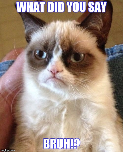 Grumpy Cat | WHAT DID YOU SAY; BRUH!? | image tagged in memes,grumpy cat | made w/ Imgflip meme maker