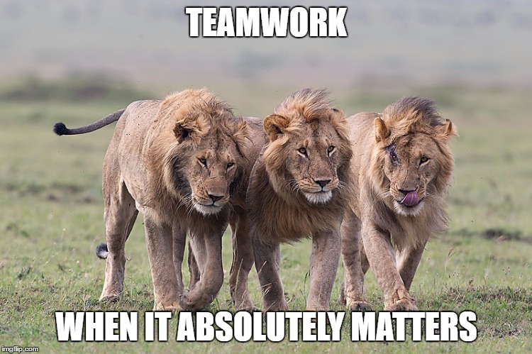 TEAMWORK; WHEN IT ABSOLUTELY MATTERS | image tagged in teamwork,never give up | made w/ Imgflip meme maker