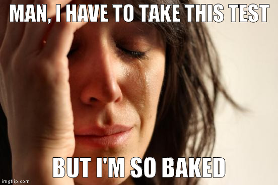 First World Problems Meme | MAN, I HAVE TO TAKE THIS TEST BUT I'M SO BAKED | image tagged in memes,first world problems | made w/ Imgflip meme maker