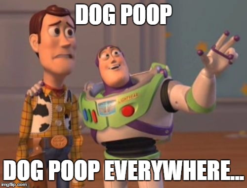 X, X Everywhere | DOG POOP; DOG POOP EVERYWHERE... | image tagged in memes,x x everywhere | made w/ Imgflip meme maker