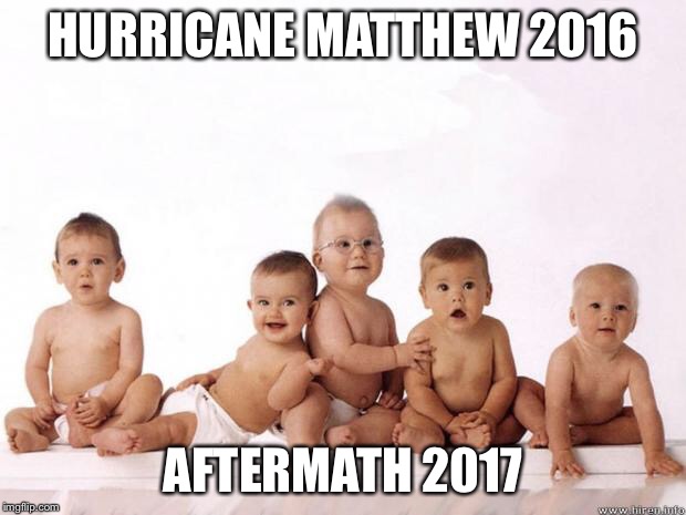 many babies | HURRICANE MATTHEW 2016; AFTERMATH 2017 | image tagged in many babies | made w/ Imgflip meme maker