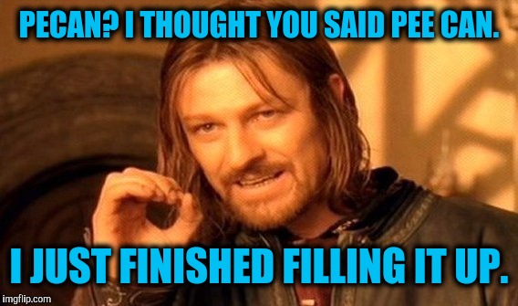 One Does Not Simply Meme | PECAN? I THOUGHT YOU SAID PEE CAN. I JUST FINISHED FILLING IT UP. | image tagged in memes,one does not simply | made w/ Imgflip meme maker