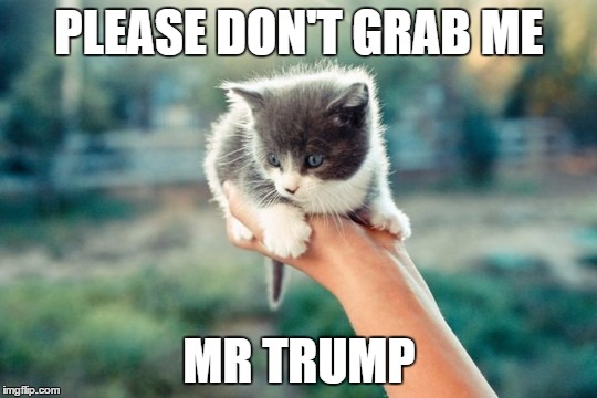 Don't Grab The Pussy Mr. Trump | PLEASE DON'T GRAB ME; MR TRUMP | image tagged in pusssy,grab,trump | made w/ Imgflip meme maker