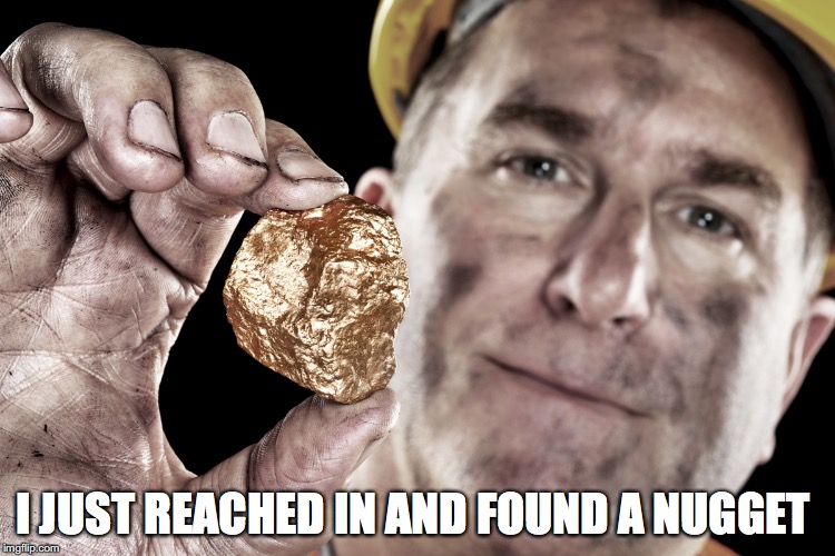 I JUST REACHED IN AND FOUND A NUGGET | made w/ Imgflip meme maker