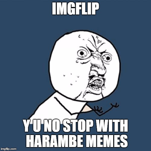 Y U No | IMGFLIP; Y U NO STOP WITH HARAMBE MEMES | image tagged in memes,y u no | made w/ Imgflip meme maker