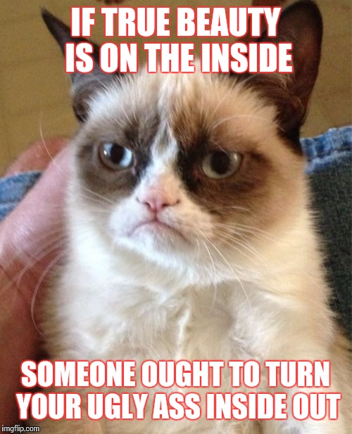 The eye of the beholder | IF TRUE BEAUTY IS ON THE INSIDE; SOMEONE OUGHT TO TURN YOUR UGLY ASS INSIDE OUT | image tagged in memes,grumpy cat | made w/ Imgflip meme maker
