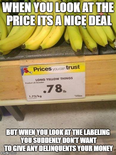bananas | WHEN YOU LOOK AT THE PRICE ITS A NICE DEAL; BUT WHEN YOU LOOK AT THE LABELING YOU SUDDENLY DON'T WANT TO GIVE ANY DELINQUENTS YOUR MONEY | image tagged in bananas | made w/ Imgflip meme maker