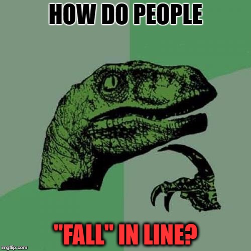 Philosoraptor Meme | HOW DO PEOPLE; "FALL" IN LINE? | image tagged in memes,philosoraptor | made w/ Imgflip meme maker