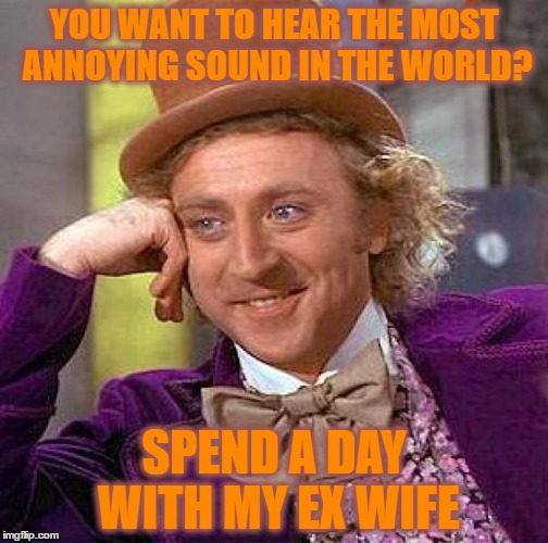 Creepy Condescending Wonka Meme | YOU WANT TO HEAR THE MOST ANNOYING SOUND IN THE WORLD? SPEND A DAY WITH MY EX WIFE | image tagged in memes,creepy condescending wonka | made w/ Imgflip meme maker