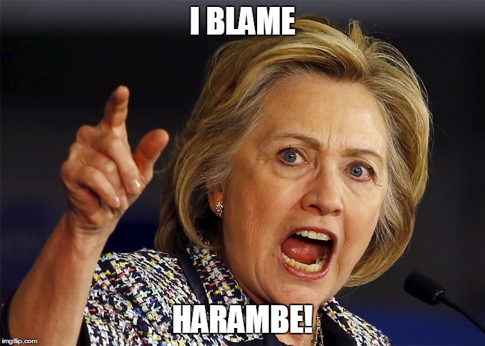 Hillary Clinton | I BLAME; HARAMBE! | image tagged in hillary clinton,harambe,election 2016,liar | made w/ Imgflip meme maker