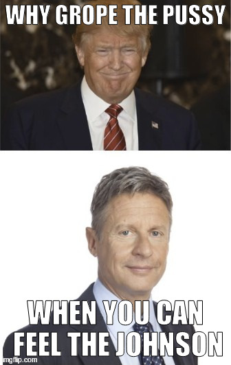 WHY GROPE THE PUSSY; WHEN YOU CAN FEEL THE JOHNSON | made w/ Imgflip meme maker