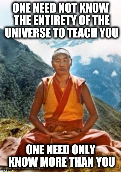 ONE NEED NOT KNOW THE ENTIRETY OF THE UNIVERSE TO TEACH YOU ONE NEED ONLY KNOW MORE THAN YOU | made w/ Imgflip meme maker