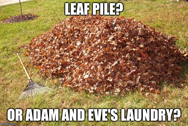 Random shower thought | LEAF PILE? OR ADAM AND EVE'S LAUNDRY? | image tagged in adam and eve | made w/ Imgflip meme maker