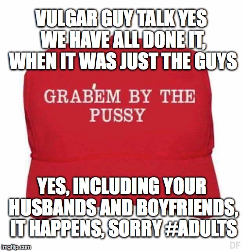 VULGAR GUY TALK YES WE HAVE ALL DONE IT, WHEN IT WAS JUST THE GUYS; YES, INCLUDING YOUR HUSBANDS AND BOYFRIENDS, IT HAPPENS, SORRY #ADULTS | image tagged in newtrumphat | made w/ Imgflip meme maker